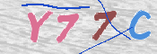 キャプチャ画像