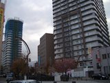 建築中のマンションと桜