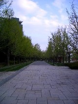 中島公園　①　５月２７日撮影