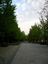 中島公園　②　６月８日撮影　