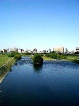 豊平川