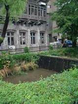 カモカモ川