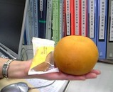 手