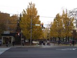 中島公園