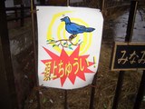 ご注意