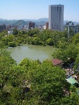 夏の中島公園