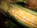 sweetcorn