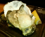 oyster