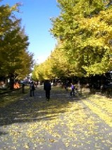 公園