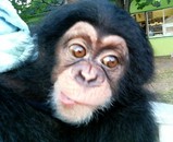 lady_maruyama_zoo