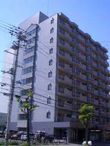 ﾗﾊﾟﾙﾌｪﾄﾞ札幌