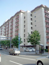 ﾌｧﾐｰﾙ中の島