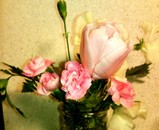 flower_1