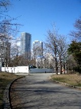 中島公園春