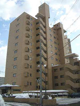 DPkikusui