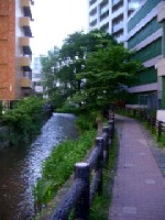 近くの風景