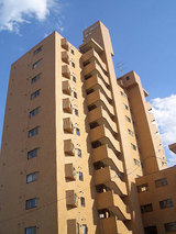 kiku