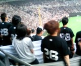 lotte
