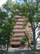 LMnakajima
