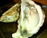 oyster