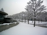 snow_1