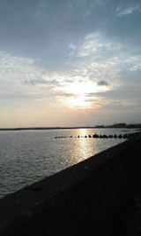海