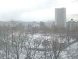 中島公園