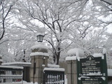 雪景色