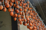 photo-4