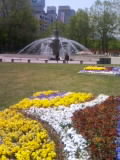 大通公園
