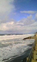 海岸