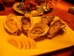 oyster_2