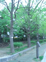 CIMG9406