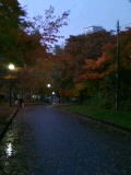 中島公園の紅葉