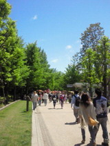 お祭り