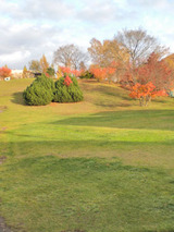 公園
