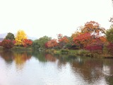 中島公園の紅葉