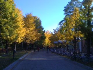 中島公園