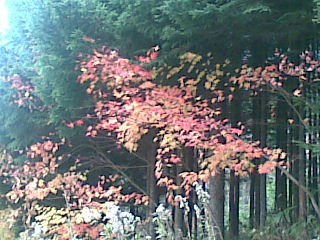 20111030(002)