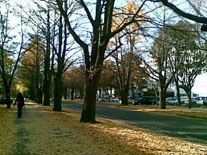 20111115