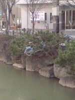 自転車