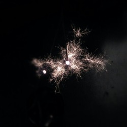 IMG_20120730_130731