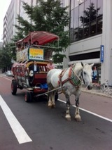 馬車