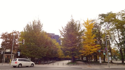 DSC00049