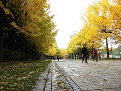 CIMG0145