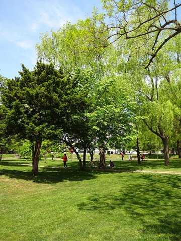 中島公園