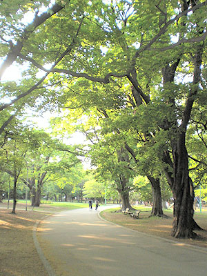 円山公園