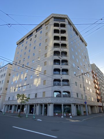 �V�����{�[���D�y