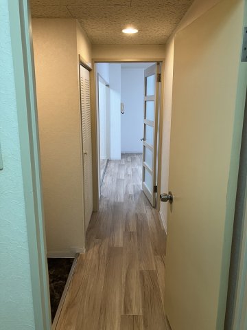 ホール