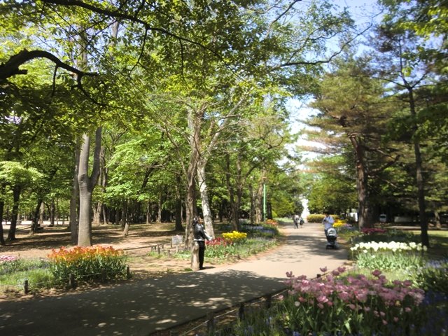 円山公園